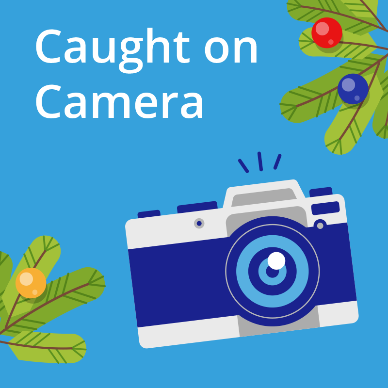 footer_xmas_camera_1_